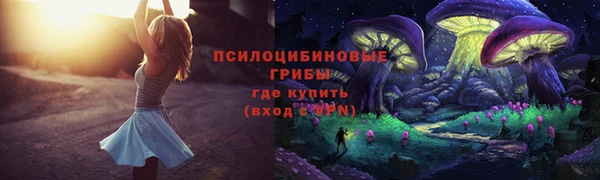 MDMA Premium VHQ Козельск