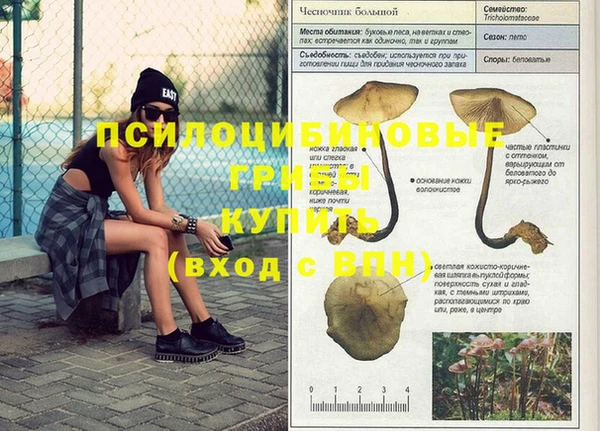 марки nbome Козловка