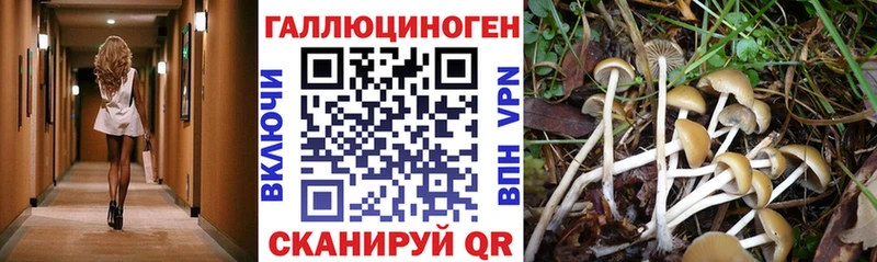 Галлюциногенные грибы прущие грибы  купить наркотик  Хвалынск 